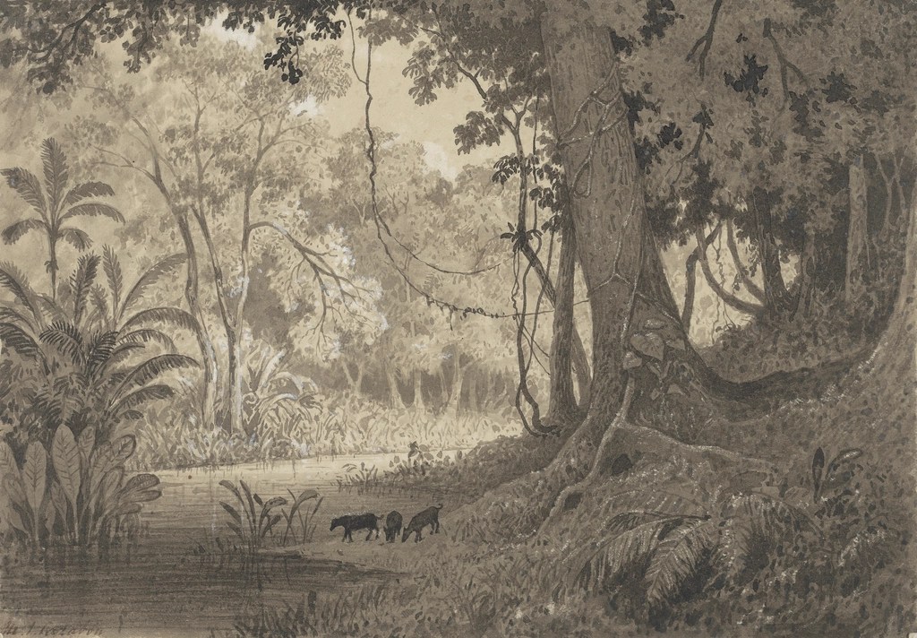 Laymen: We Start with One – Chapter Two – The&nbsp;Werewolf